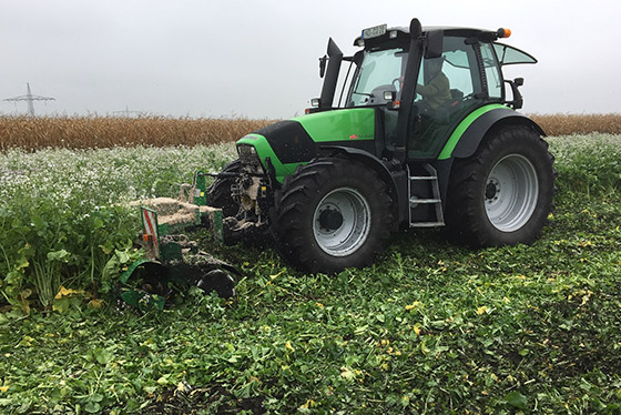 kerner cut solo restpflanzenzerkleinerung im einsatz in hoher blumenwiese