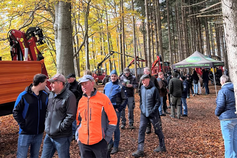 Waldpfad-mit-Stationen
